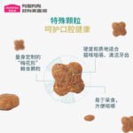 Maifudi salmon oil cat food full price cat cat staple food fish oil beautiful hair shiny hair adult cat kitten wholesale general - Image 3