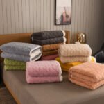 Lamb fleece blanket winter thickening warm milk fleece blanket sheet blanket coral fleece taffeta sofa blanket