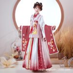 Ming Dynasty Han Suit Bijia waist length skirt - Image 3