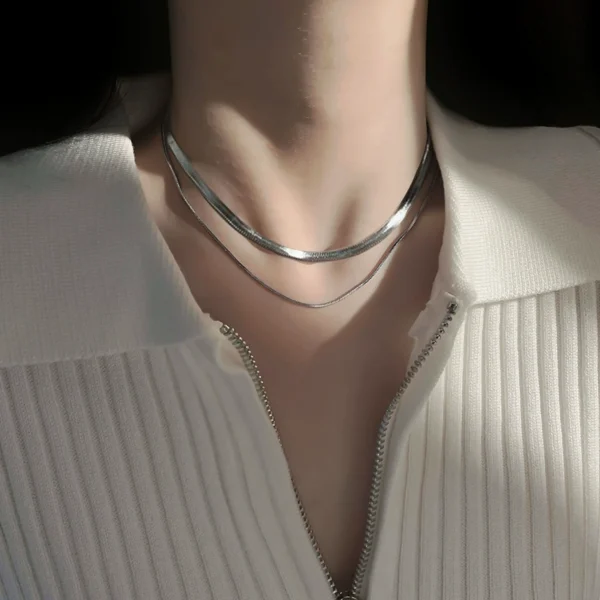 Simple silver double-layer snake bone chain necklace female hip-hop 2022 new ins cold wind collarbone necklace accessories