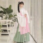 Ming Dynasty Han Suit Bijia Long Shirt waist length skirt