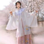 Ming Dynasty Hanfu Embroidery Long Shirt Cloud Shoulder Pleated Skirt - Image 4