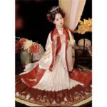 Ming style stand collar gown - Image 3