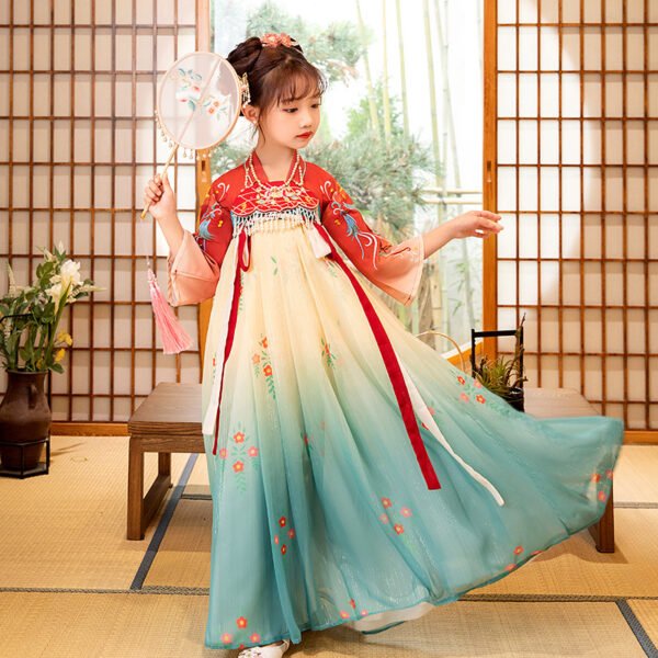 Girls' Hanfu flower embroidery dress