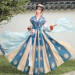 Tang style Han style embroidered waist length skirt