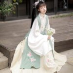 Ming Dynasty Han Suit Bijia Long Shirt waist length skirt - Image 4