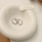 Simple daily matching geometric earrings personality metal texture buckle earrings fashion ins style earrings 4845 - Image 3