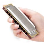 SUZUKI Suzuki 10-hole blues harmonica playing grade blues ten-hole C key beginner children's entry men