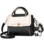 Internet celebrity bag women's bag 2025 new trendy fashion women's handbag summer popular one-shoulder crossbody bag - Image 5