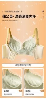 2023 new special price underwear sense no trace gathered adjustable wholesale bra without steel ring anti-sagging to receive auxiliary milk - Image 3