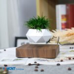 Living room home decoration net red creative handicrafts plant bonsai invention patent manufacturers wholesale maglev potted plants