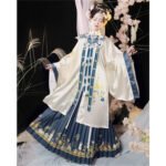 Ming style stand collar gown - Image 2