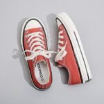 Winning canvas shoes women's solid color basic commuting Japanese all-match casual shoes women's 1970s re-engraved Harajuku skate shoes women - Image 6