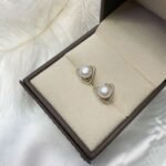 Retro style internet celebrity with the same style S925 silver Japanese freshwater pearl earrings fashion jewelry earrings one piece dropshipping - Image 15