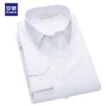 Romon shirt women's long-sleeved spring and autumn women's formal suit temperament bank work clothes work professional decoration shirt - Image 3