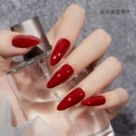 Sweet Color manicure nail patch full paste extended nail fake nail patch transparent nail piece 240 pieces with glue glue - Image 3