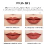 Perfect Diary DreamMatte Lipstick Private Label Hottest Selling Long Lasting Nude Lip Gloss Waterproof Matte Liquid Lipstick - Image 2