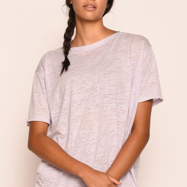 Loose Short Sleeves Burnout Tee